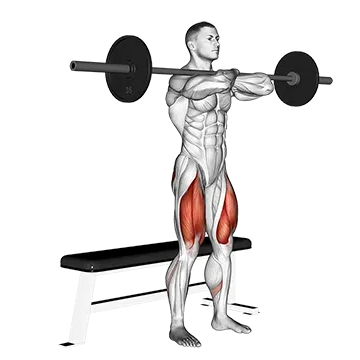 Barbell Bench Front Squat