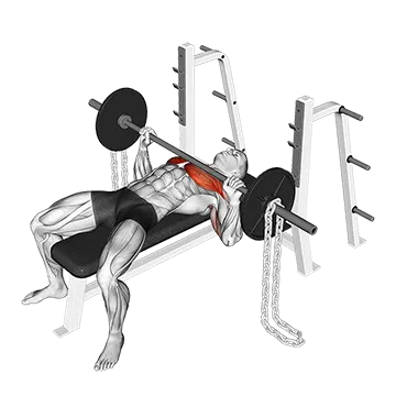 Barbell Bench Press Against Chains