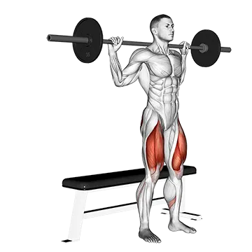 Best Barbell Glute Workouts Barbell Bench Squat