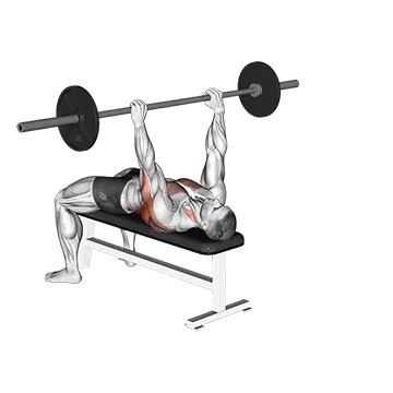 Best Barbell Chest Workouts Barbell Bent Arm Pullover