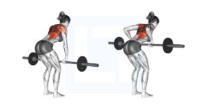 Barbell Bent Over Row - Guide, Benefits, and Form
