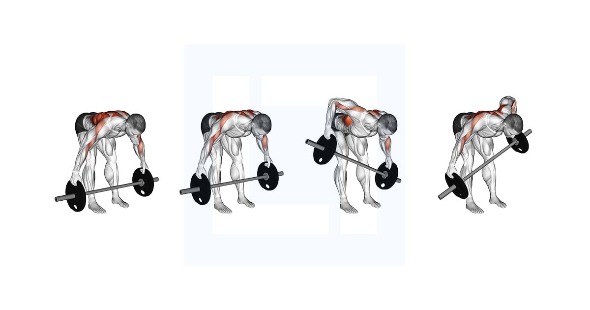 Barbell Bent Over Wide Alternate Row Plus
