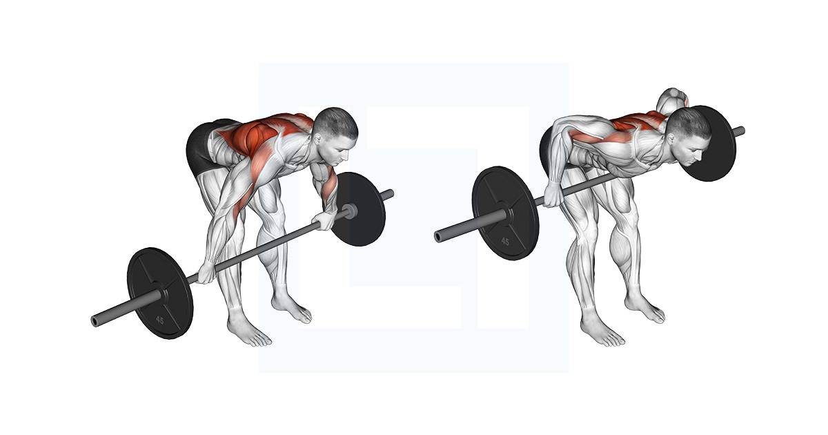 Barbell Row