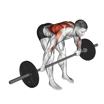 Best Barbell Back Workouts Barbell Bent Over Wide Grip Row