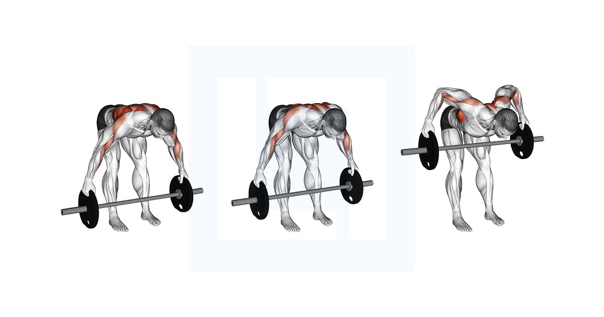 Barbell Bent Over Wide Row Plus