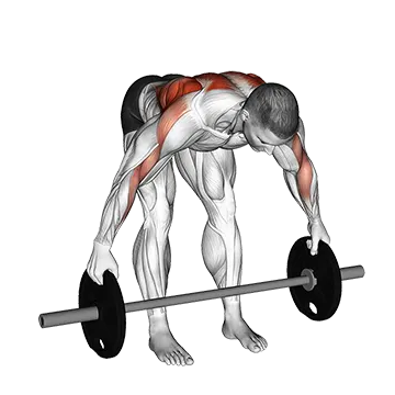 Barbell Bent Over Wide Row Plus