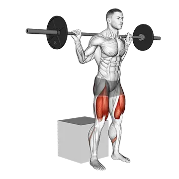 Best Barbell Glute Workouts Barbell Box Squat