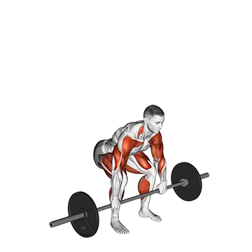 Best Olympic Lifting Workouts Barbell Clean And Jerk