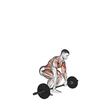 Best Full Body Barbell Workouts Barbell Clean And Press