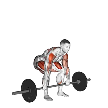 Best Olympic Lifting Workouts Barbell Clean High Pull