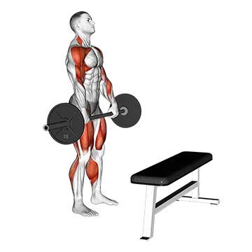 Barbell Complex Stiff Leg Deadlift Clean Step