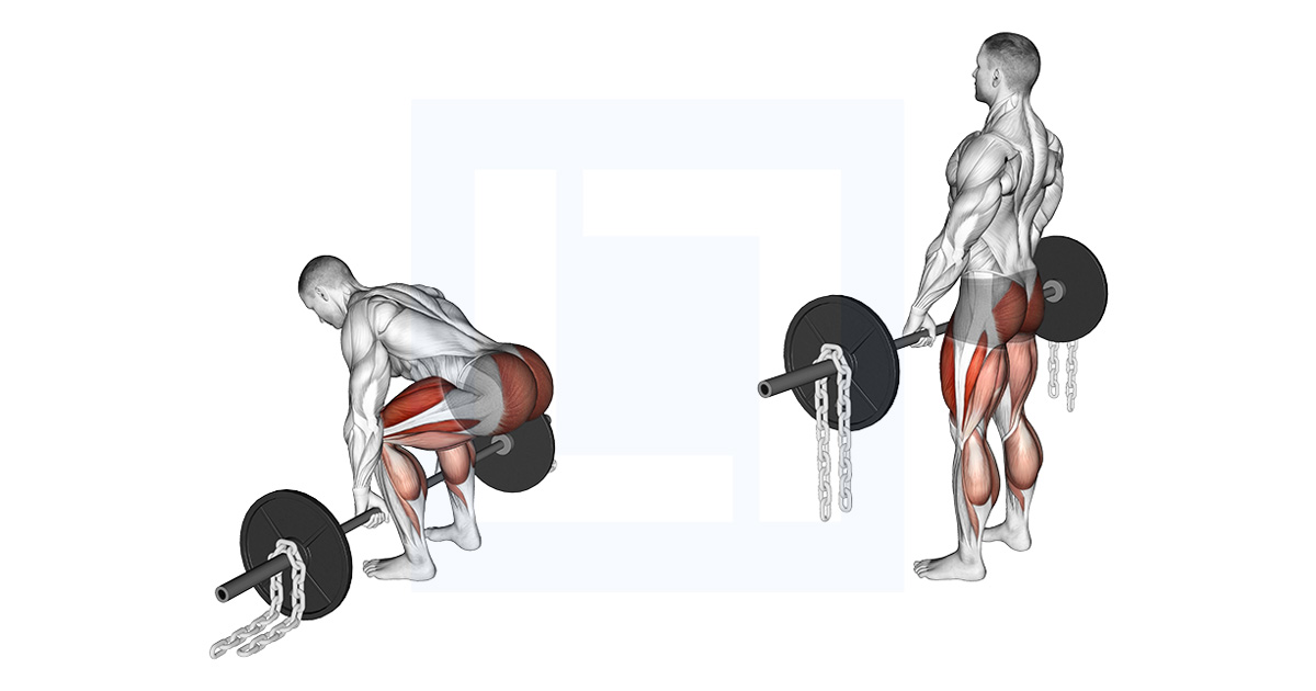 Barbell Deadlift Against Chains