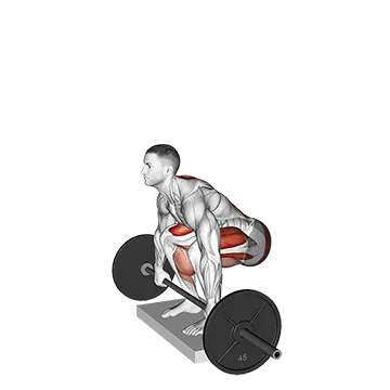 Best Barbell Hamstring Workouts Barbell Deadlift From Deficit