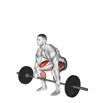 Best Compound Exercises For Strength Barbell Deadlift