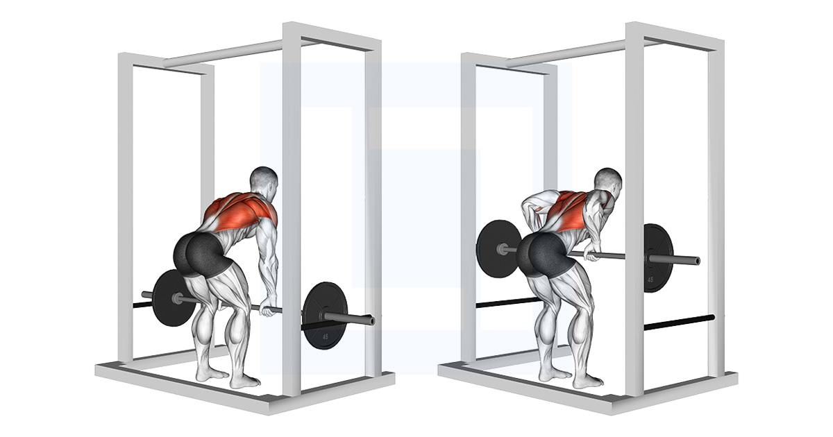 Barbell Deadstop Row With Rack