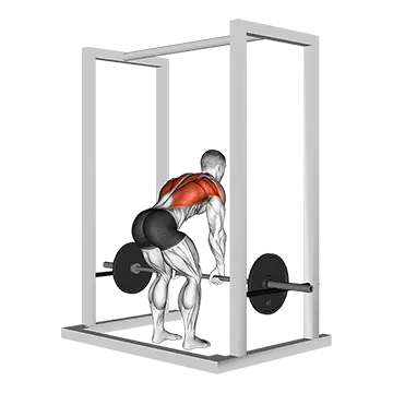 Best Barbell Back Workouts Barbell Deadstop Row With Rack