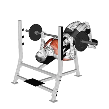 Best Barbell Chest Workouts Barbell Decline Bench Press