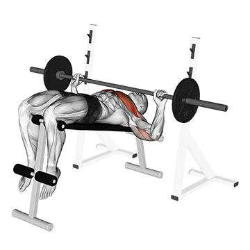 Barbell Decline Wide Grip Press