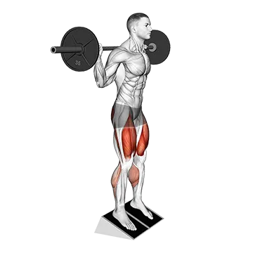 Best Barbell Quad Workouts Barbell Elevated Heel Squat