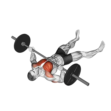 Best Barbell Chest Workouts Barbell Floor Chest Press