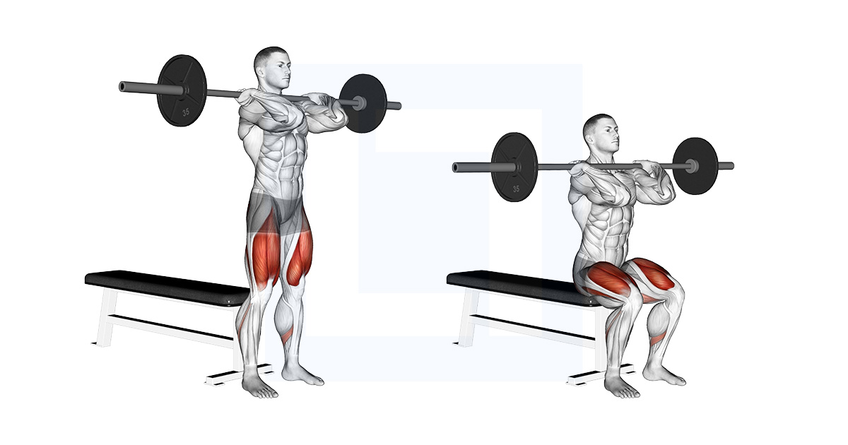Barbell Front Bench Squat