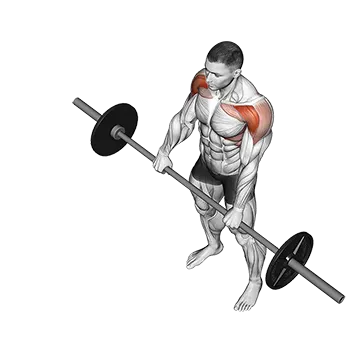 Best Barbell Shoulder Workouts Barbell Front Raise