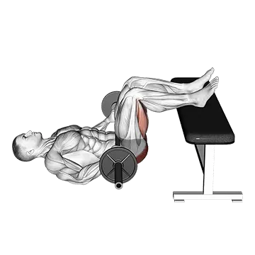 Best Barbell Glute Workouts Barbell Glute Bridge Two Legs On Bench