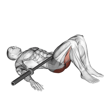 Best Barbell Leg Workouts Barbell Glute Bridge