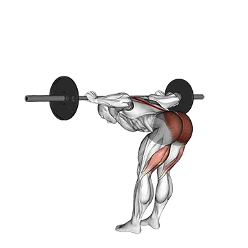 How To Grow Your Hamstrings Barbell Good Morning