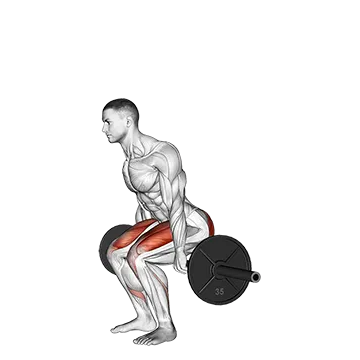 How To Get Stronger Quads Barbell Hack Squat