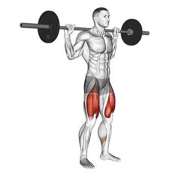 How To Build A Stronger Front Squat Barbell High Bar Squat