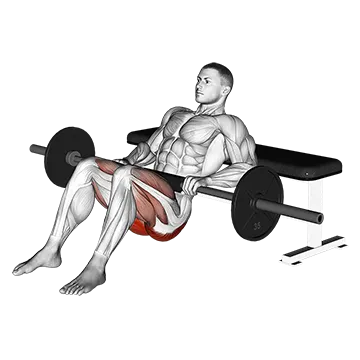 How To Grow Your Glutes Barbell Hip Thrust