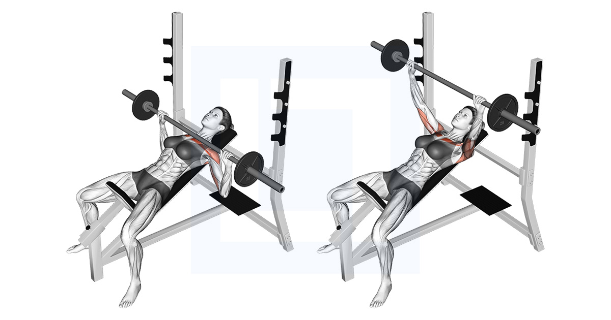 Barbell Bench Press
