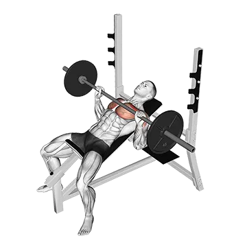 Best 5 Day Split Workout Barbell Incline Bench Press