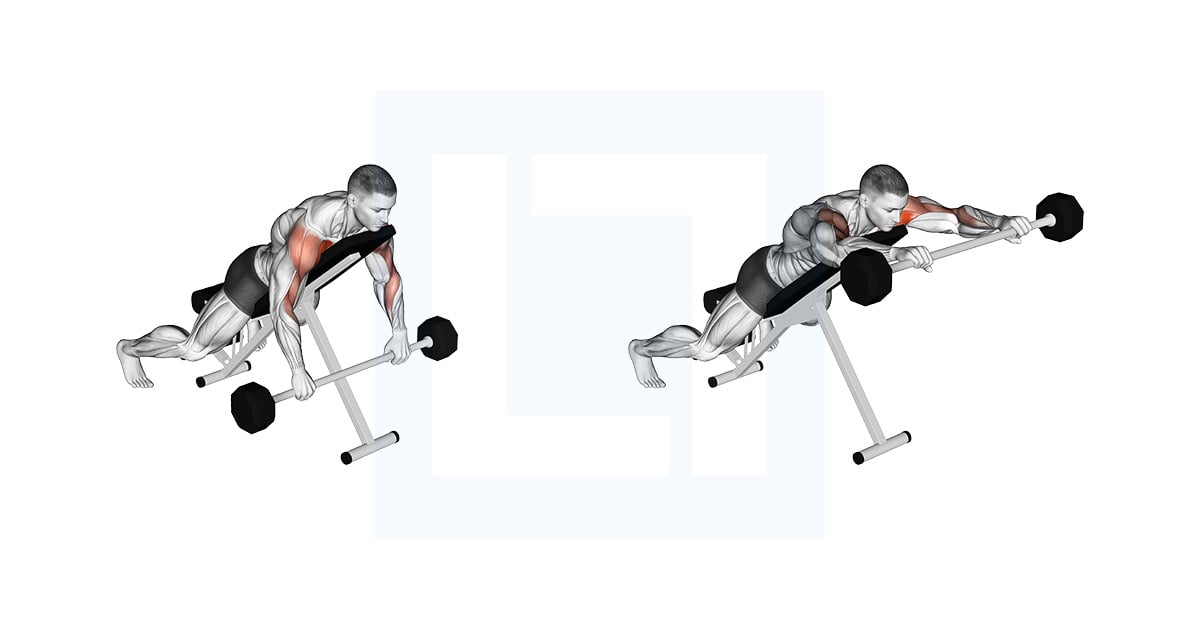 Barbell Incline Lying Rear Delt Raise
