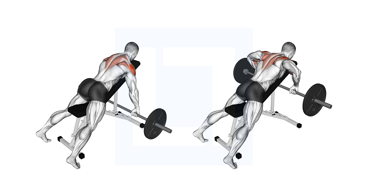 Barbell Incline Rear Delt Row