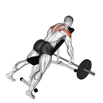 Barbell Incline Rear Delt Row