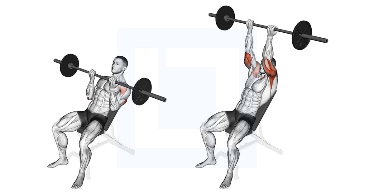 Barbell Incline Reverse Grip Press
