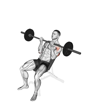 Barbell Incline Reverse Grip Press