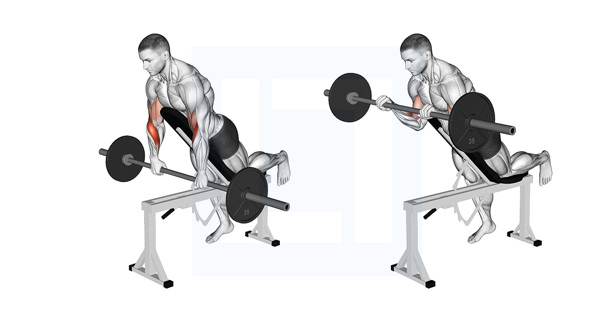 Barbell Incline Reverse Grip Spider Curl With Chest Support