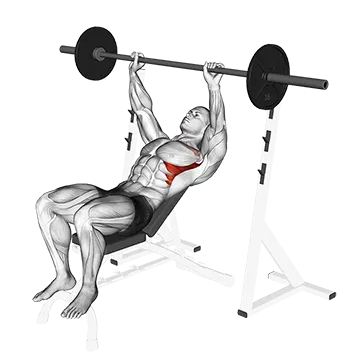 Best Barbell Shoulder Workouts Barbell Incline Shoulder Raise