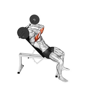 Best Long Head Tricep Exercises Barbell Incline Triceps Extension Skull Crusher