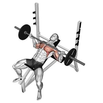 Barbell Incline Wide Reverse Grip Bench Press