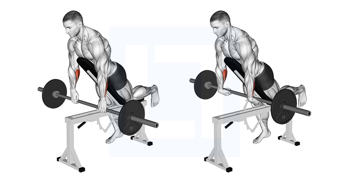 Barbell Incline Wrist Curl With Chest Support