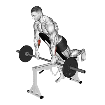 Best Barbell Forearm Workouts Barbell Incline Wrist Curl With Chest Support