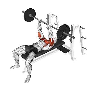 Best Barbell Tricep Workouts Barbell Jm Bench Press