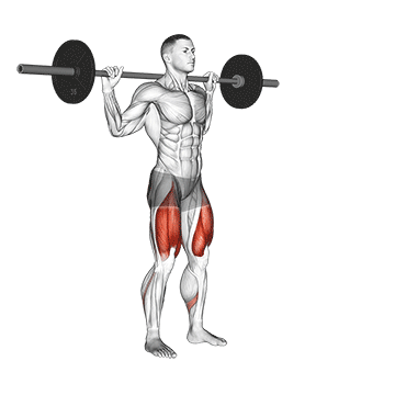 Best Inner Quad Workouts Barbell Lateral Lunge