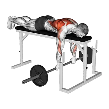Barbell Lying Close Grip Overhand Row on Rack