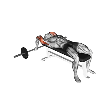 Barbell Lying Close Grip Triceps Extension