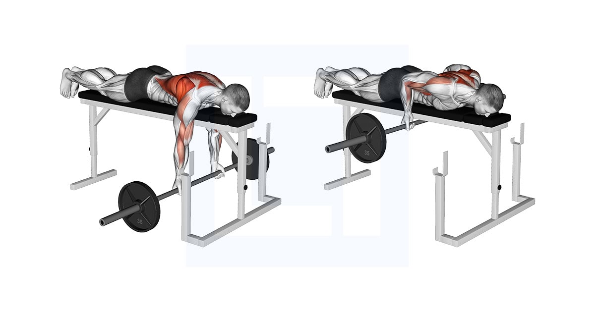 Barbell Lying Close Grip Underhand Row on Rack